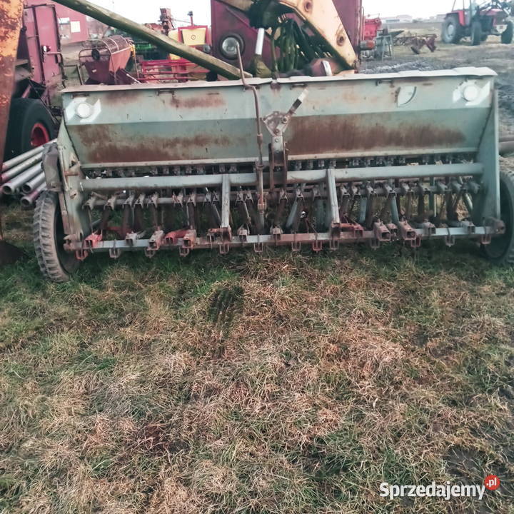 Siewnik poznaniak nieuszkodzony Piątek