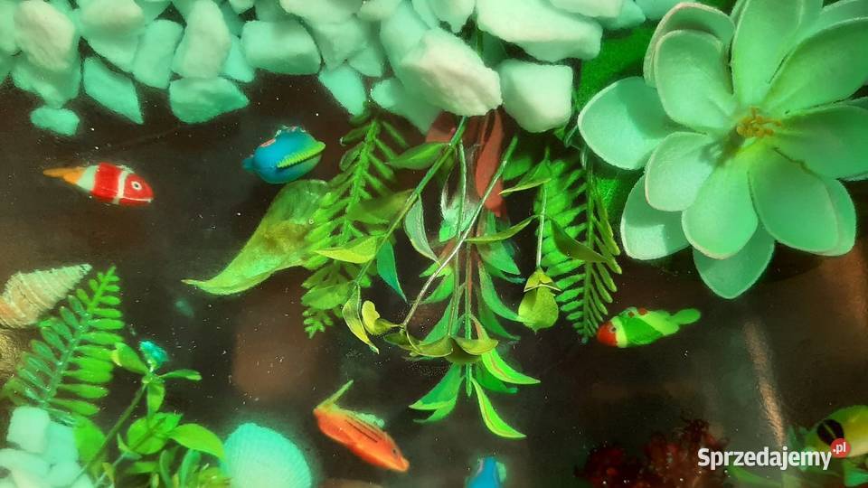 Stół z żywicy epoksydowej akwarium rybki Meble Stary Sącz