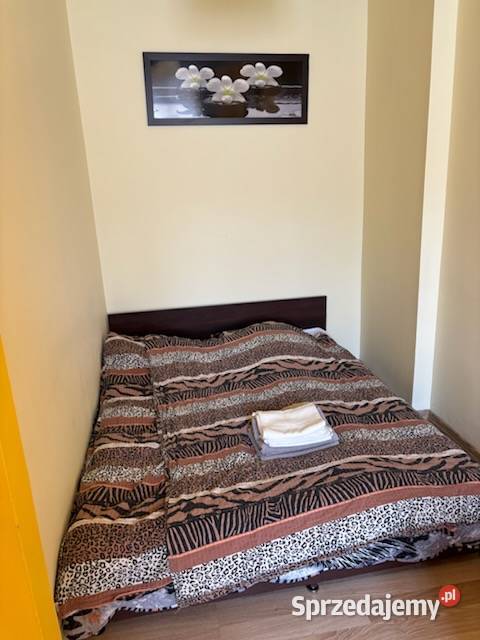 Mieszkanie do wynajęcia Kraków centrum sprzedam