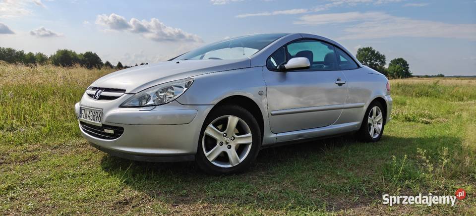 Peugeot 307 CC 20PB 136 Kabriolet Lubsko