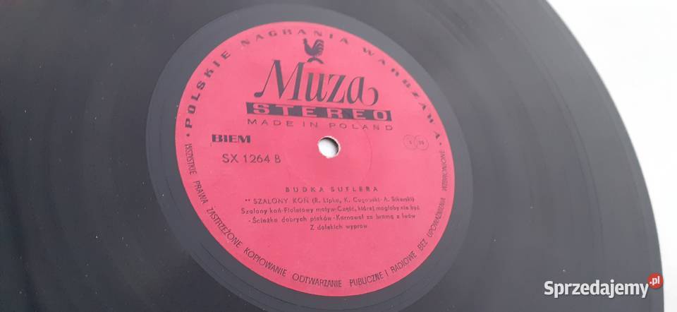 Budka SufleraCień Wielkiej górypłyta kujawsko-pomorskie Tuszkowo