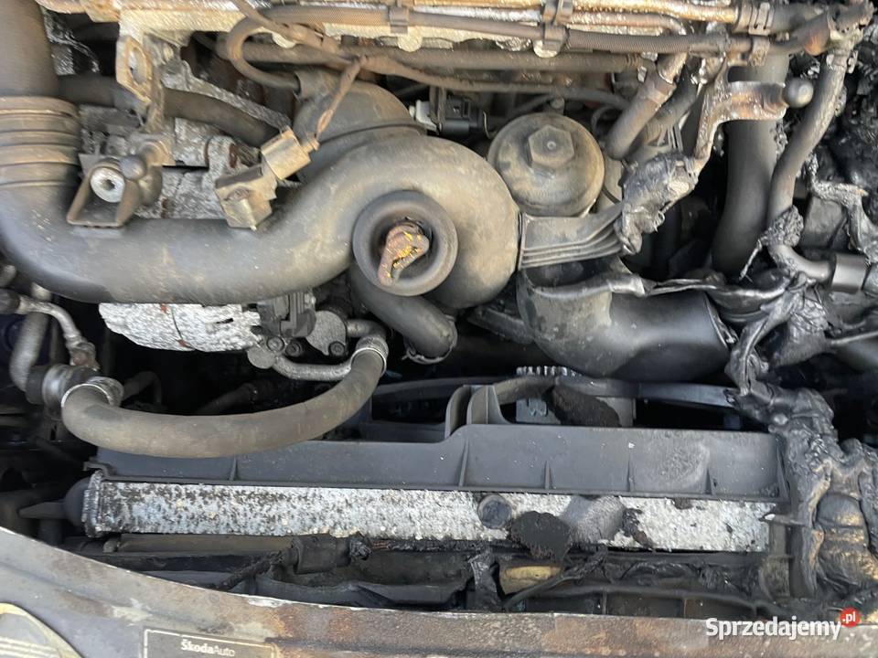 Skoda octavia 2 19tdi immobilizer kujawsko-pomorskie Toruń