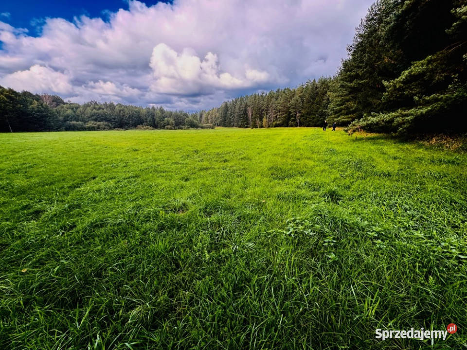 Wyjątkowa działka 242 ha wśród zieleni Cisza Nitki