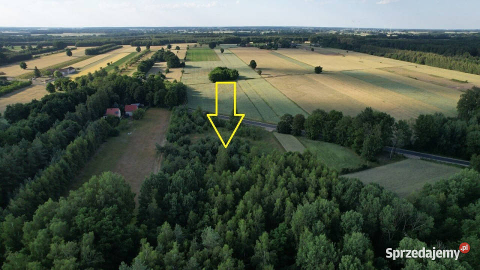Sprzedam grunt Pałki 8116m2