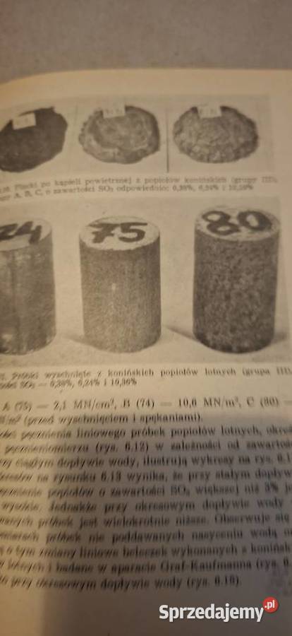 Pierwsze wydanie Popioły lotne i ich Łęczyca