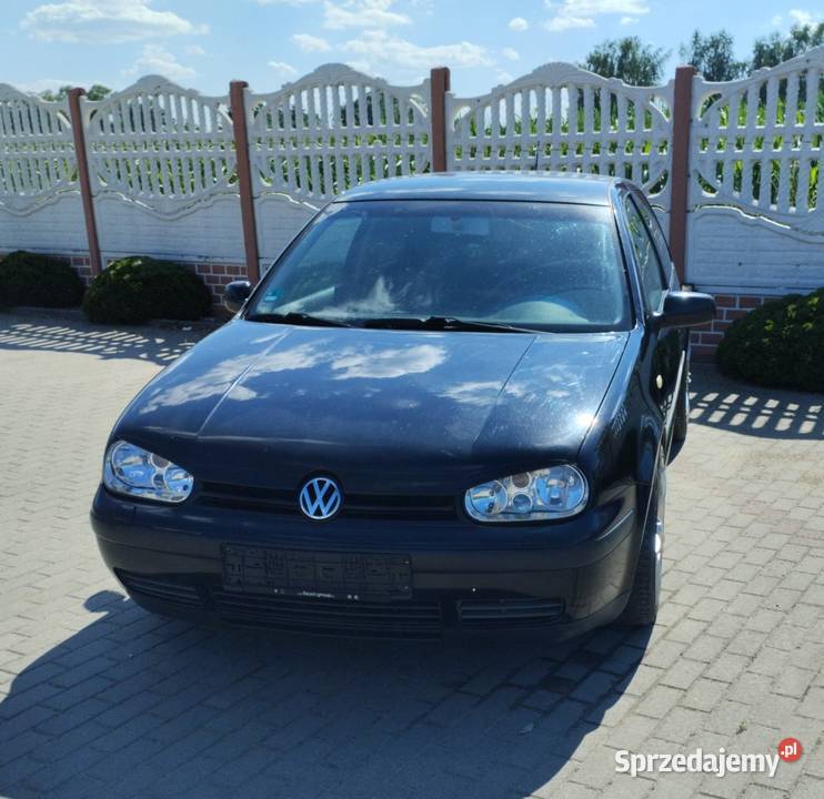 Vw Golf 4 16 SR 1999 Sicienko