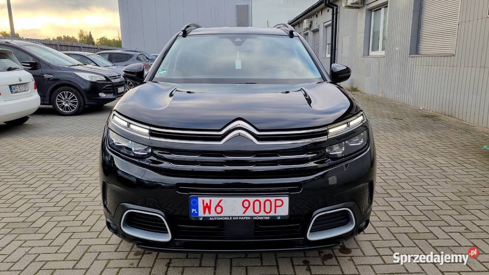 20 HDI 180 AUTOMAT 8b Kamera LED 2xCzujniki światła LED Siedlce