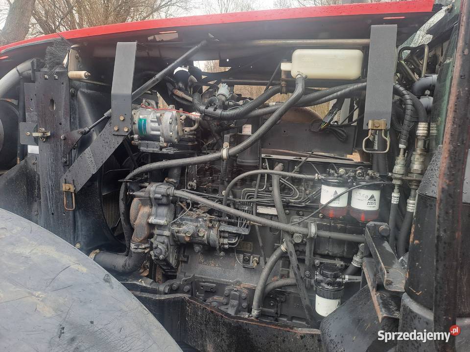 Massey Ferguson 8220 Dynashift Ruda-Huta