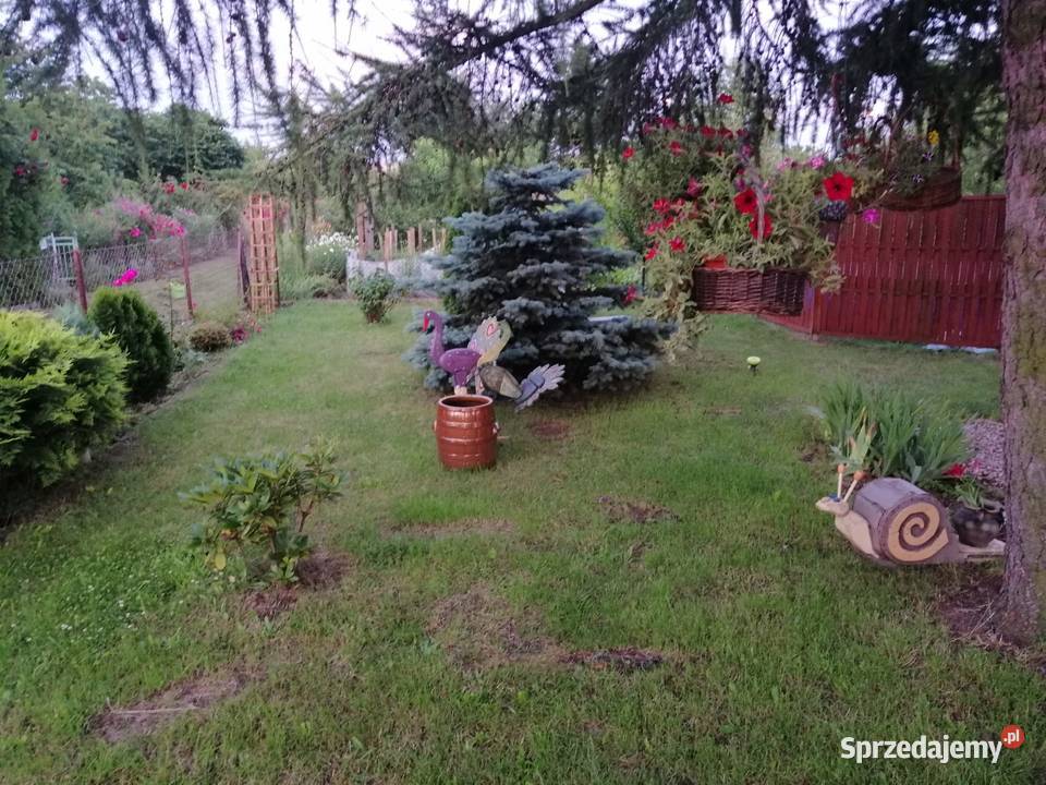 Ogród działkowy ROD GOŹDZIK WROCŁAW