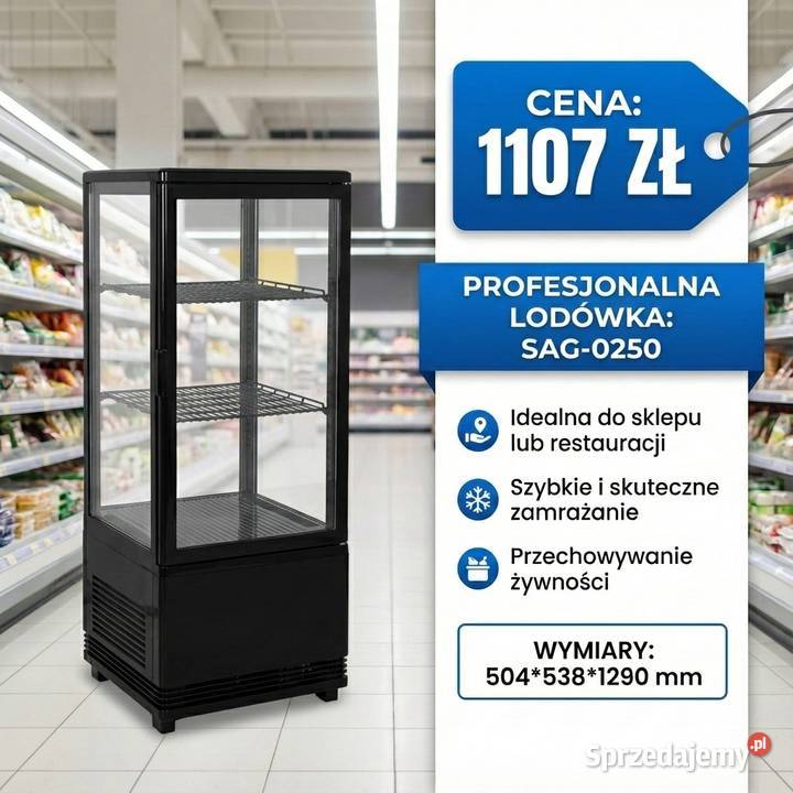 Lodówka SAG0250 Wrocław