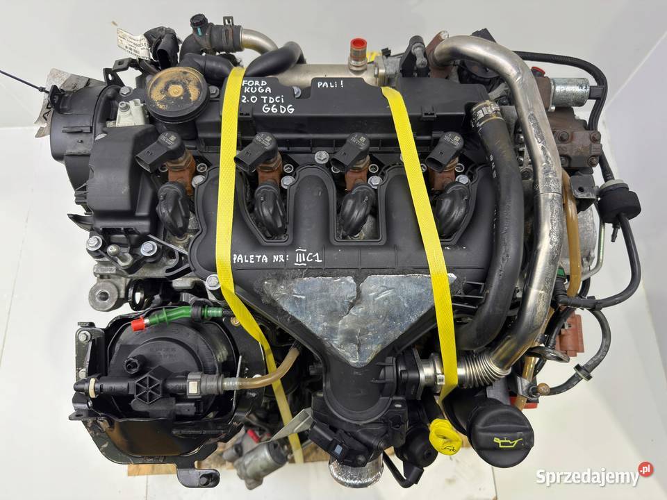 SILNIK Ford Kuga 20 TDCI 136 diesel 4x4 Rudka