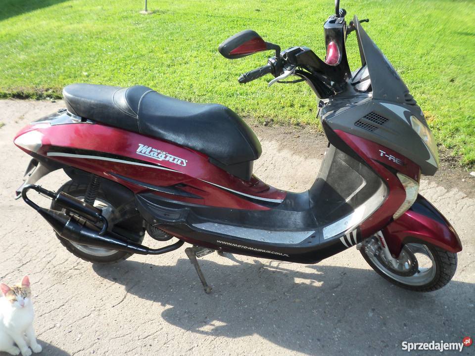 t rex magnus pas napędowy Pozostałe pomorskie Nowy Dwór Gdański