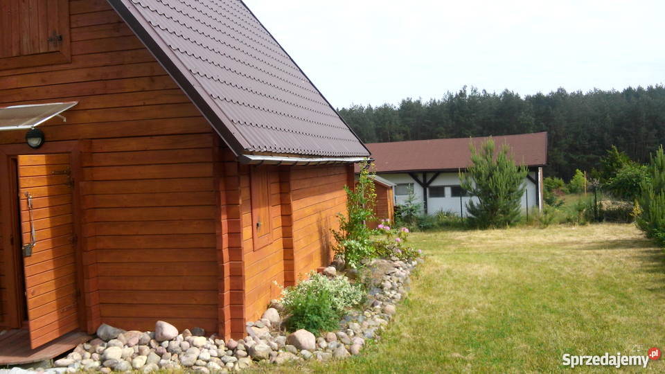 dom letniskowy Domy wielkopolskie