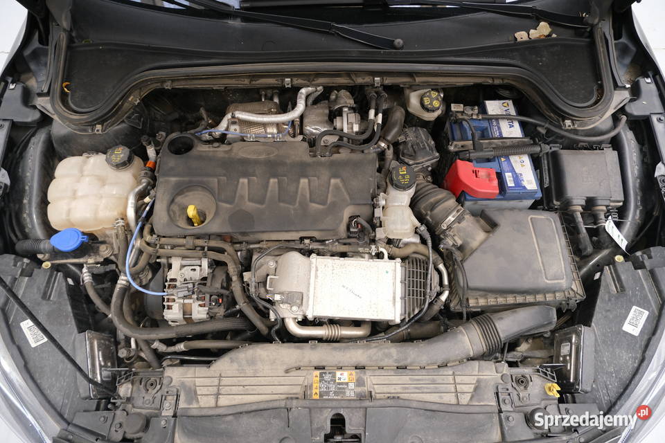 FORD FOCUS 2021 199700 ccm 150 Warszawa