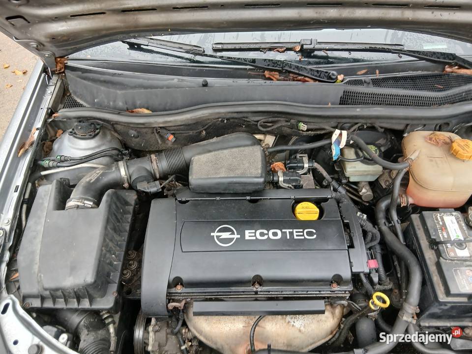 Opel astra Astra Powalina