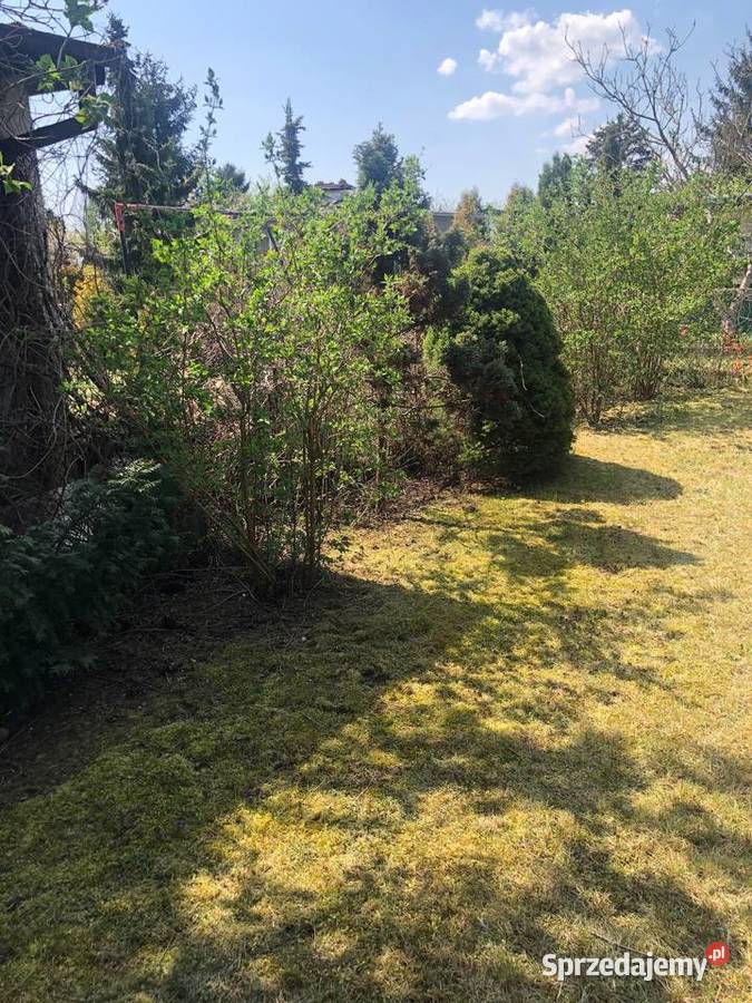 Działka ROD Bydgoszcz Fordon Wschód Nieruchomości sprzedam