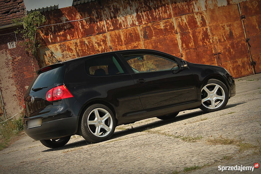 Volkswagen Golf V Goal 19TDI Gubin