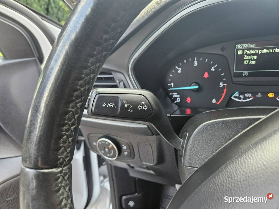 Ford Focus 15 EcoBlue 95 Salon Iwłaściciel kujawsko-pomorskie Skępe