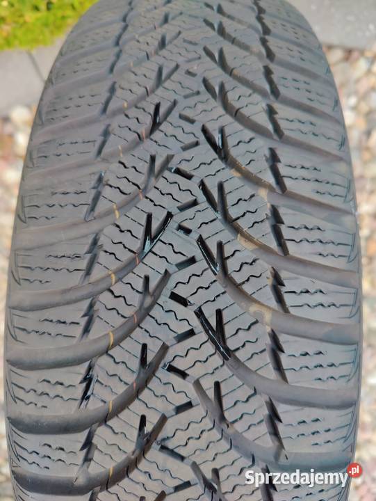 opony zimowe 15 kumho 175 lubuskie