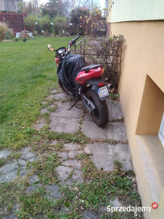 Sprzedam opolskie Brzeg sprzedam