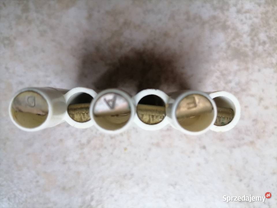 Polski Stary kamerton ustny akustyczna Kraków