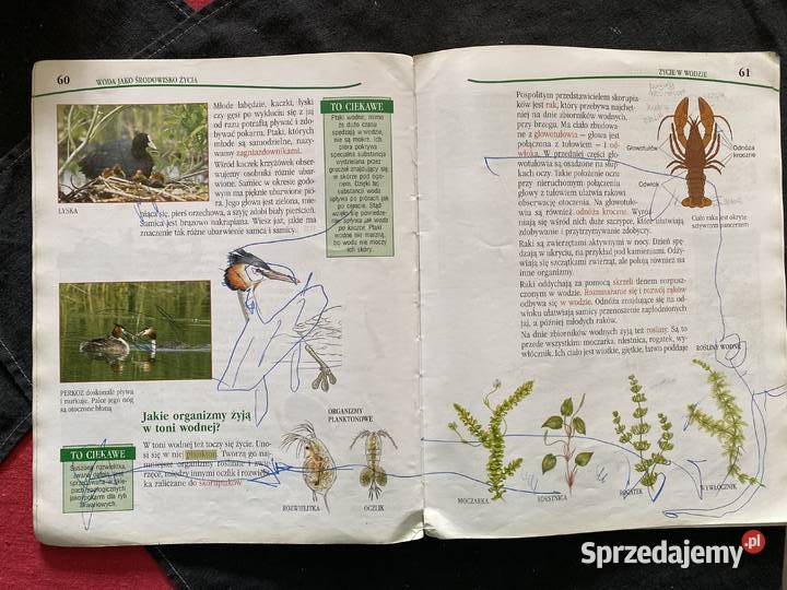 Przyroda kl5podrecznikpraca zbiorowa sprzedam