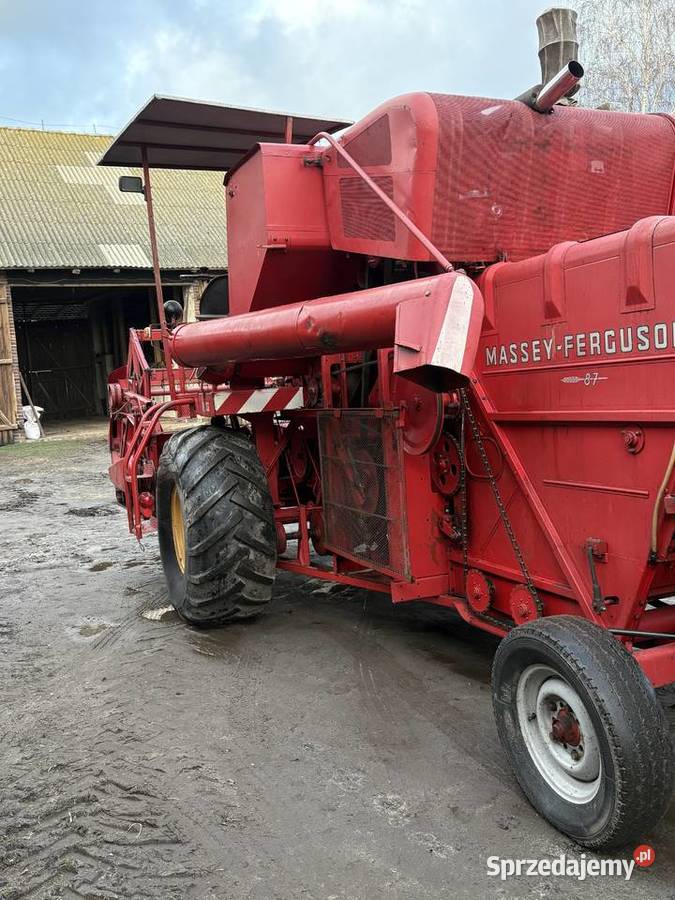 Massey Ferguson 87 wielkopolskie Kępno sprzedam