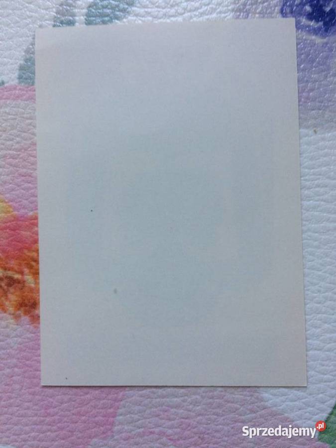 1215 Exlibrisy 12 Szczecin