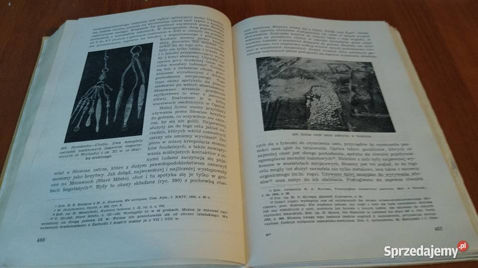 Słowiańszczyzna wczesnośredniowieczna zarys Książki naukowe i popularnonaukowe