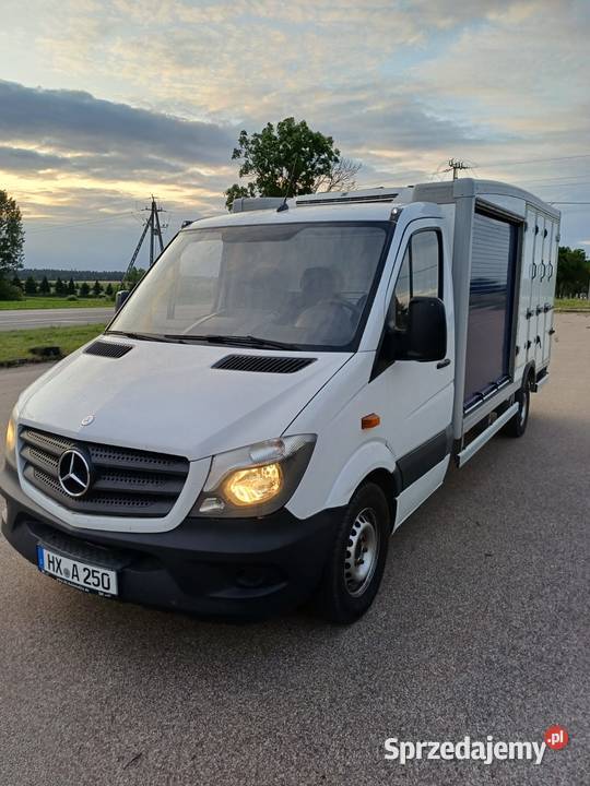 Mercedes Benz 906 208273km mazowieckie