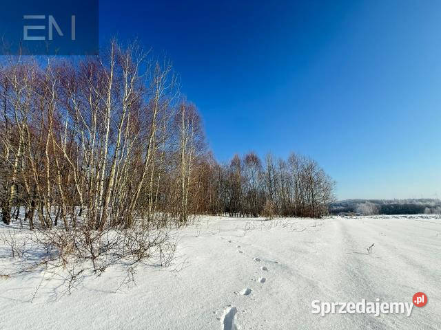 Grunt 4700m2 Gwoźnica Górna podkarpackie