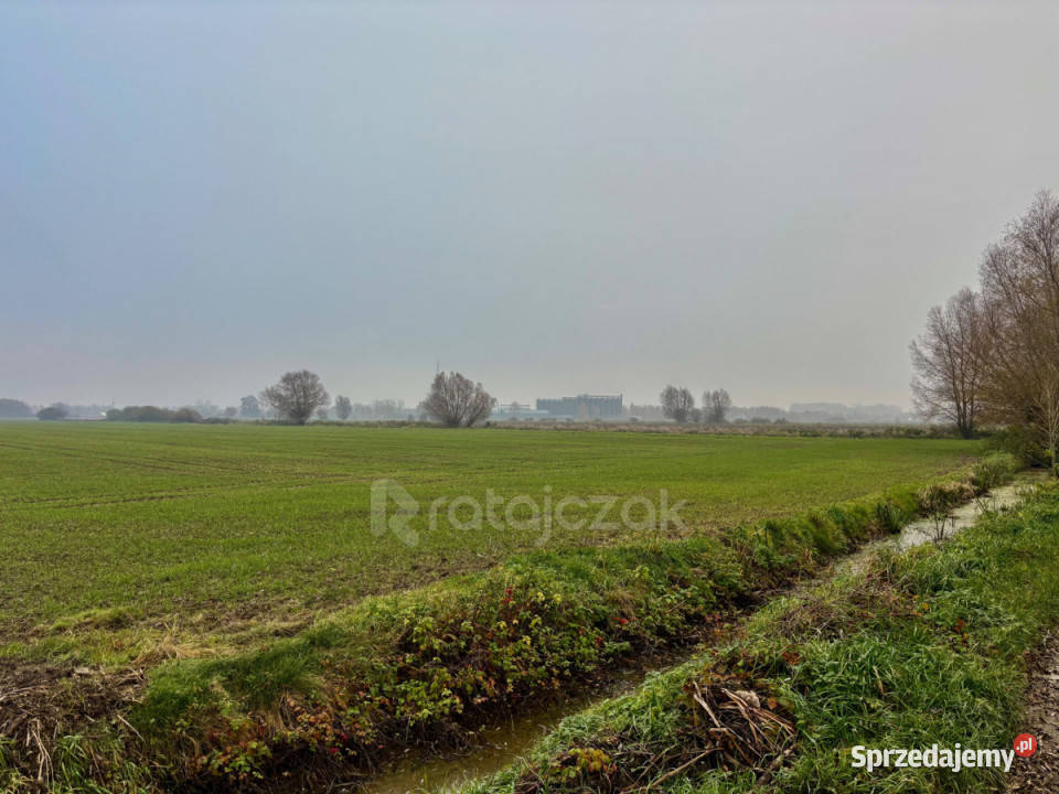 Grunt Drewnica Wierzbowa 3012m2