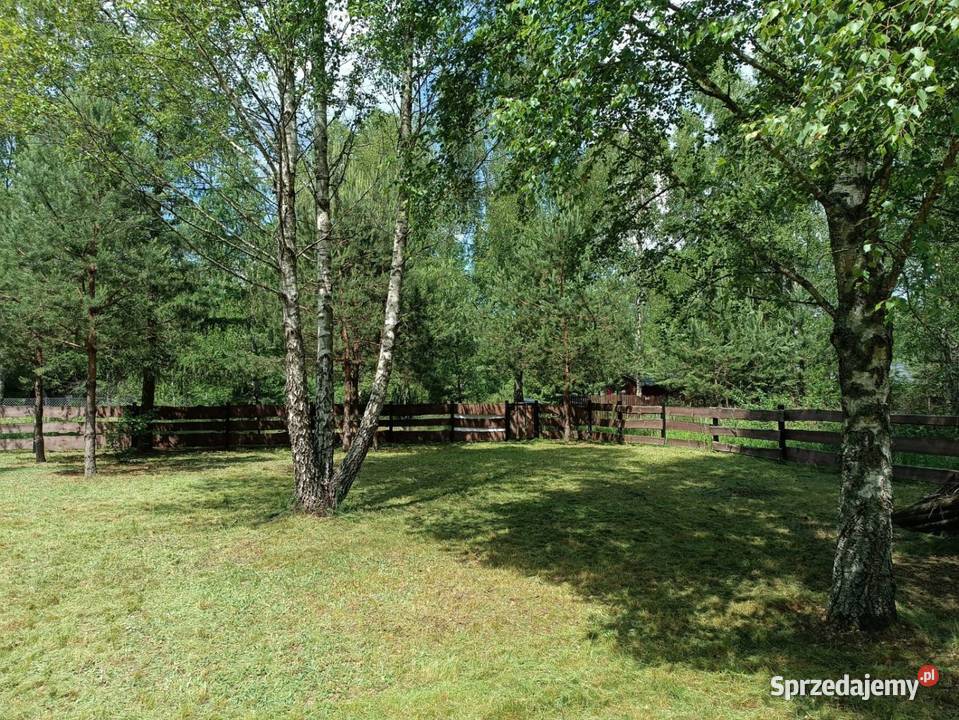 Piękna działka w spokojnej okolicy otoczona warmińsko-mazurskie sprzedam