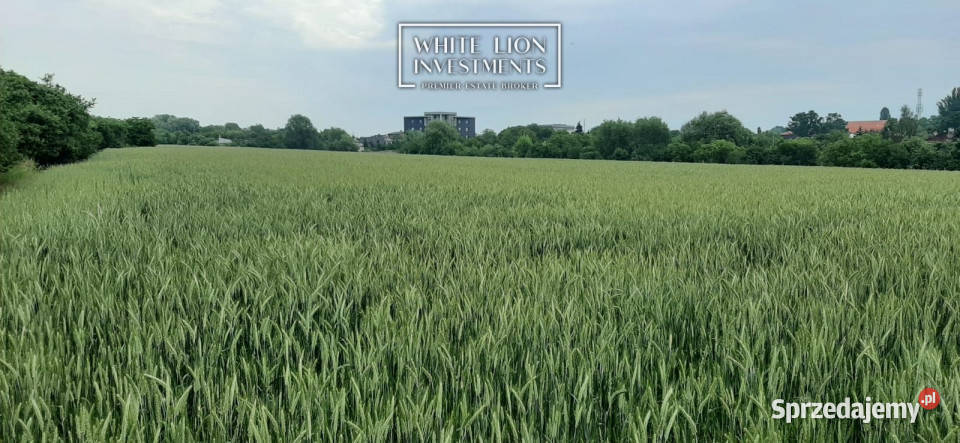 Grunt 87182 metry Kalisz kanalizacja