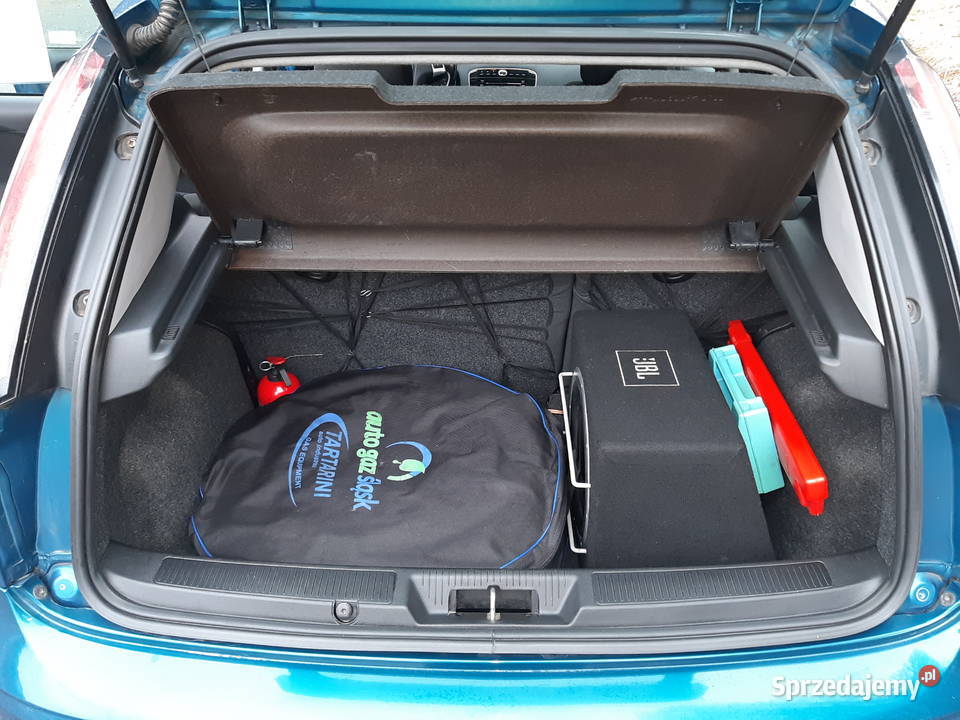 Fiat Punto 2014r 14 78 benzyna LPG Rogoźnik