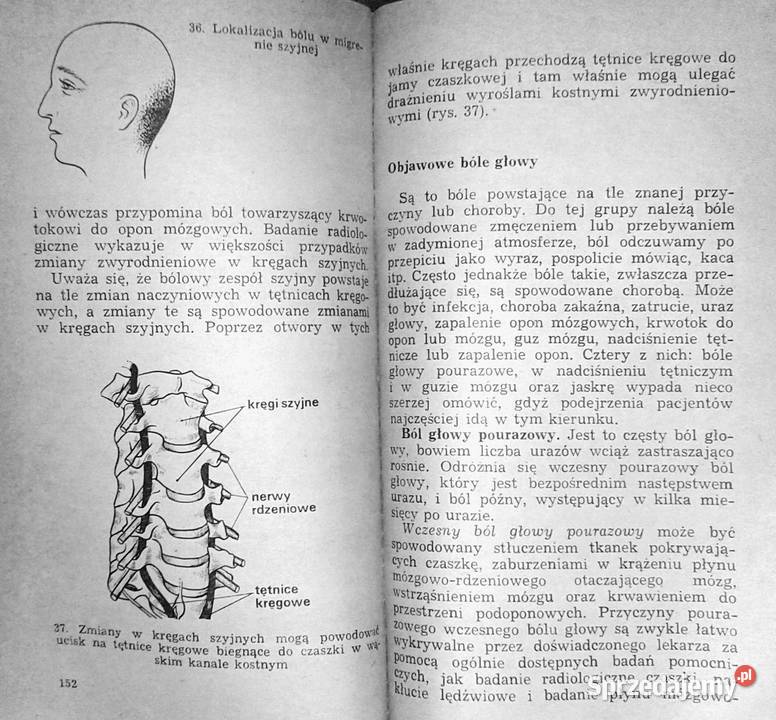 Ból Teofan Maria Domżał Chełm