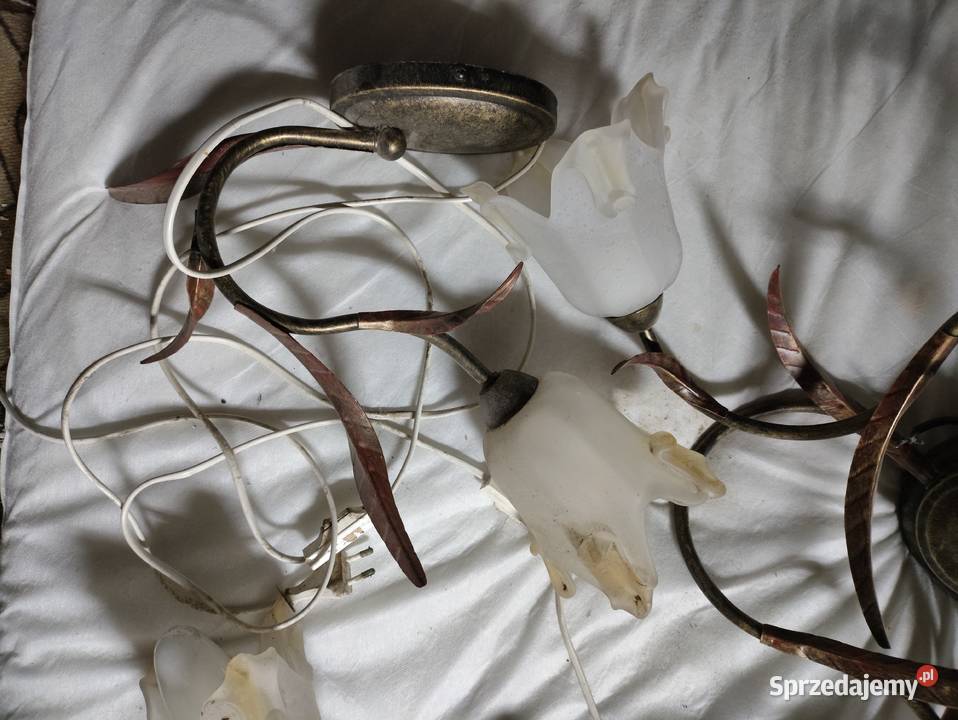 Żyrandol trzyramienny i dwa kinkiety Rzeszów