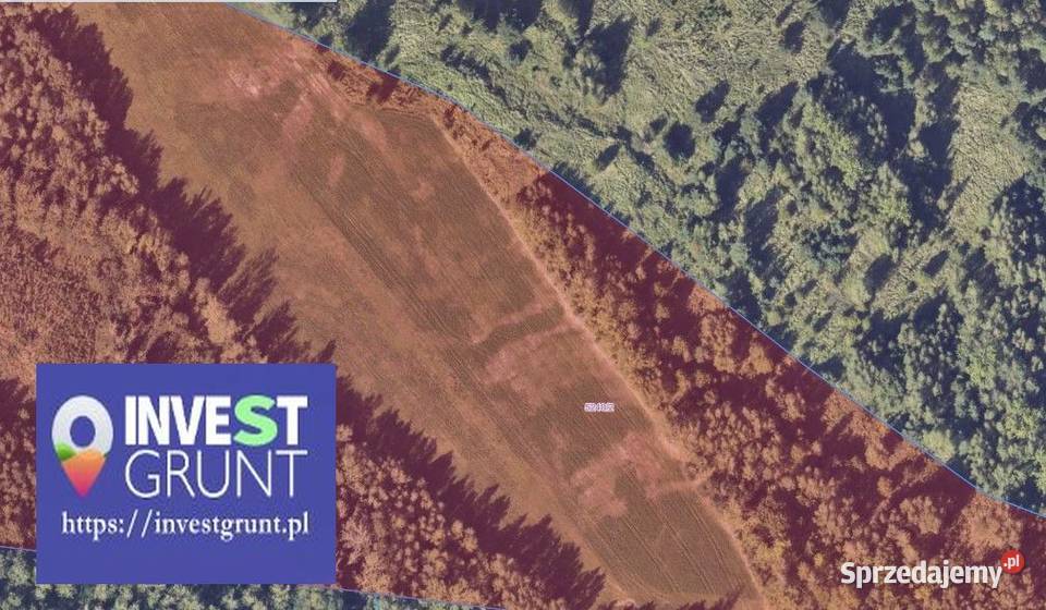 5118 ha przetarg na dzierżawę gruntów rolnych Pęcherzew