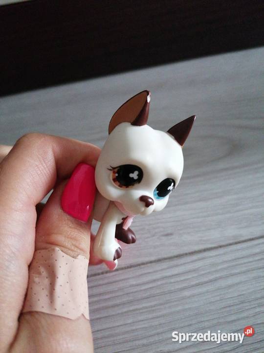 Littlest Pet Shop Jastrzębie-Zdrój