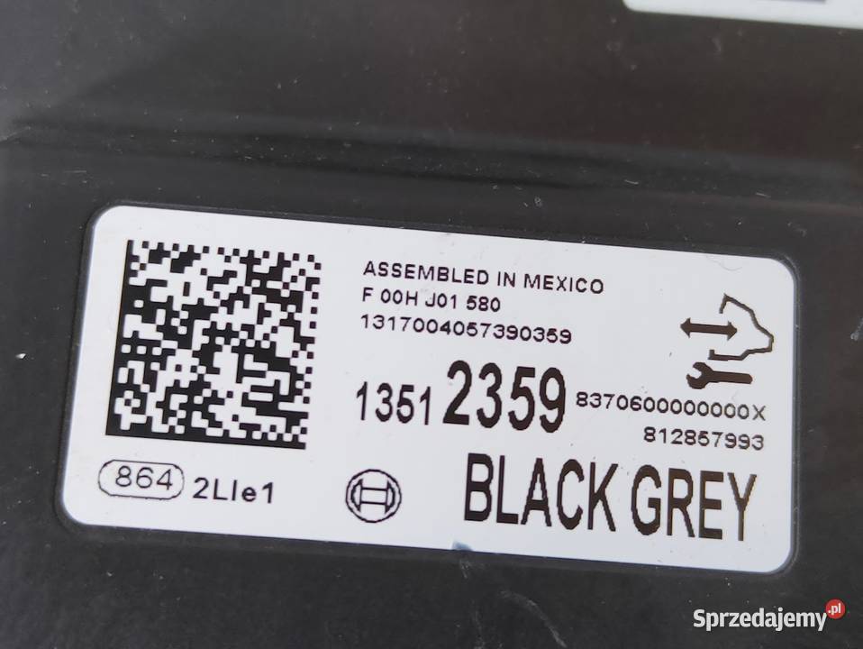 Moduł Sterownik Gateway Opel Mokka X 13512359 Pleszew