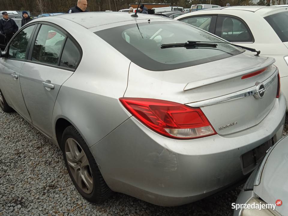 Insignia benzyna Dębe