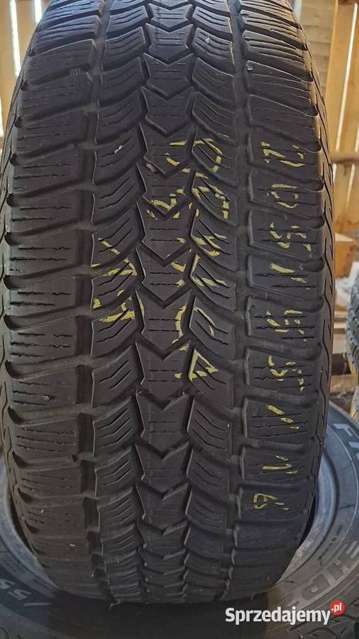 20555R16 opony zimowe Dębica Samochodowe Łapy