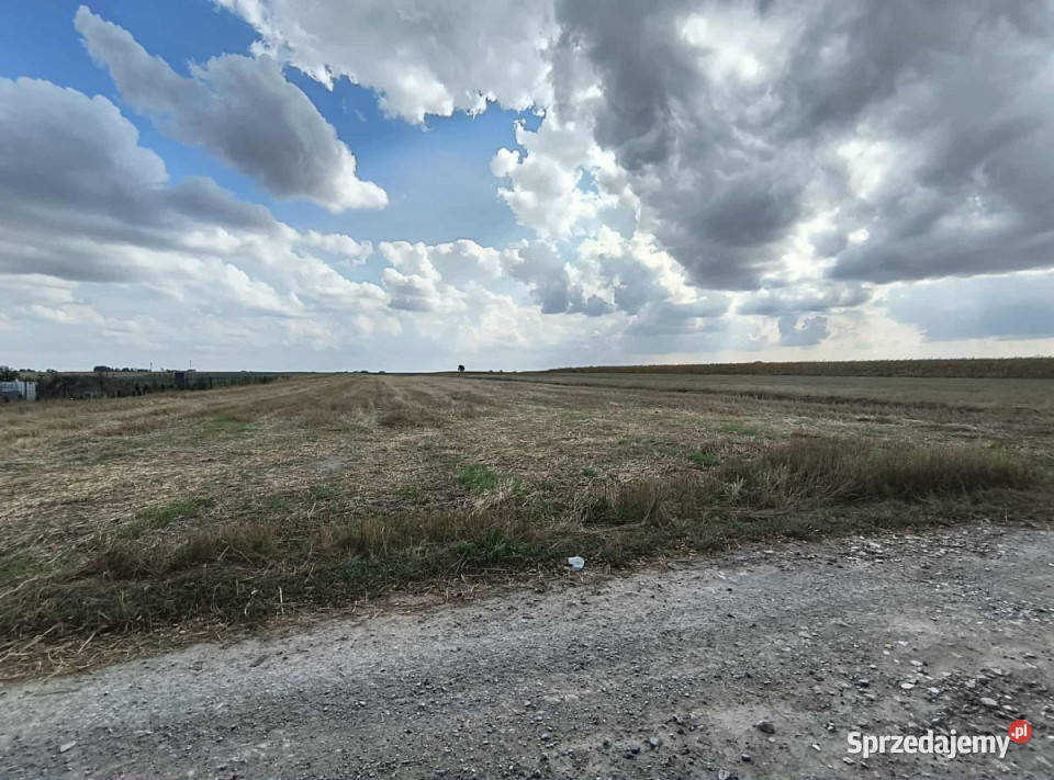 Działka Osówka 1100m2 40m