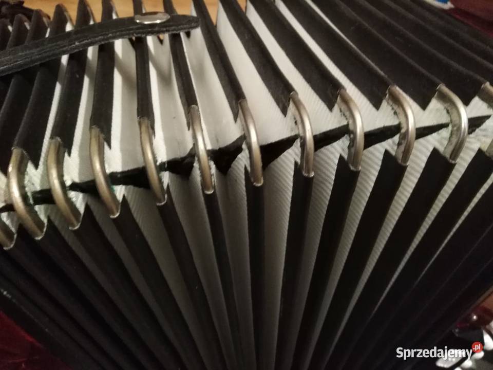 Akordeon Delicia Carmen XII super stan Maków Maków Mazowiecki