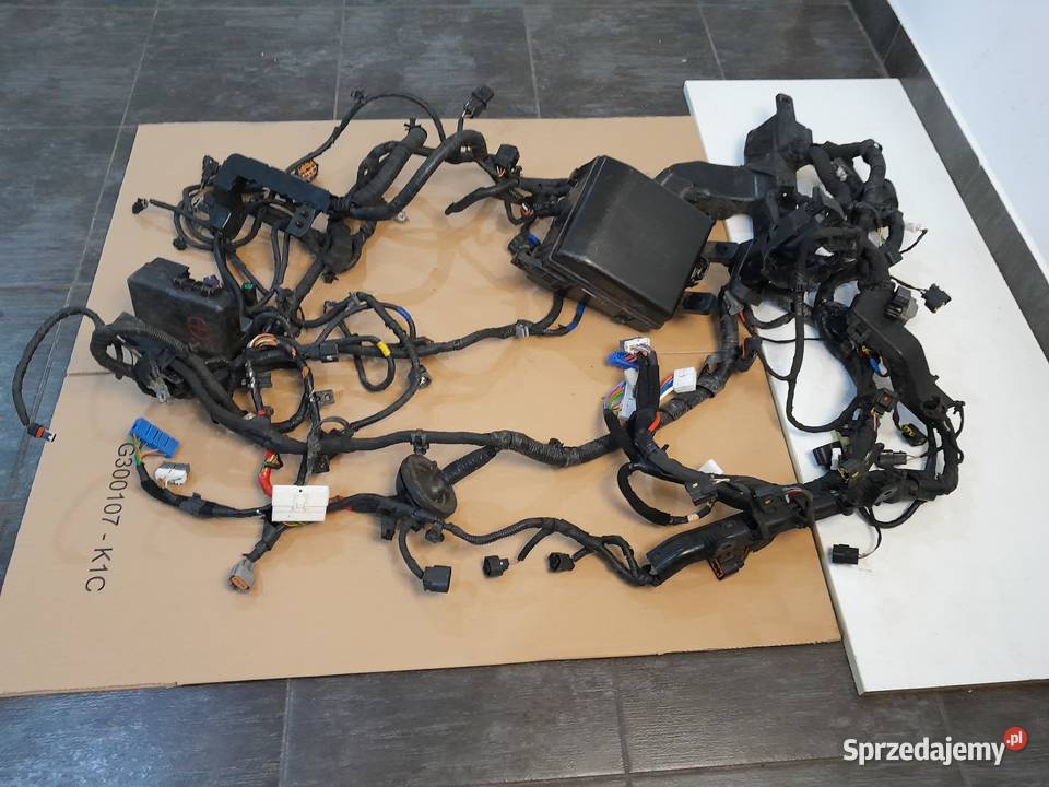 KPLWIAZKA KOMORY SILNIKA HYUNDAI IX35 16 GDI 20 osobowe Pozostałe Skierniewice