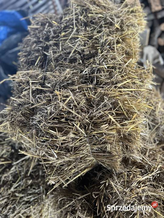 Słoma Owsiana kostka