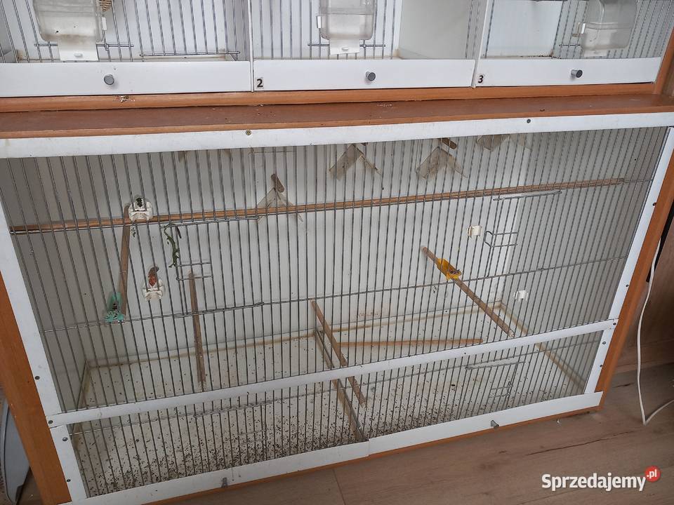 Regał na ptaki Poznań sprzedam