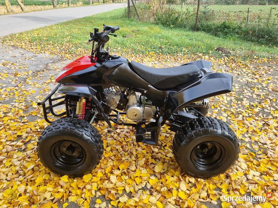 Quad Jumper 125cc Duża Rama 11r koła 8 Stan Nowy Kruszwica