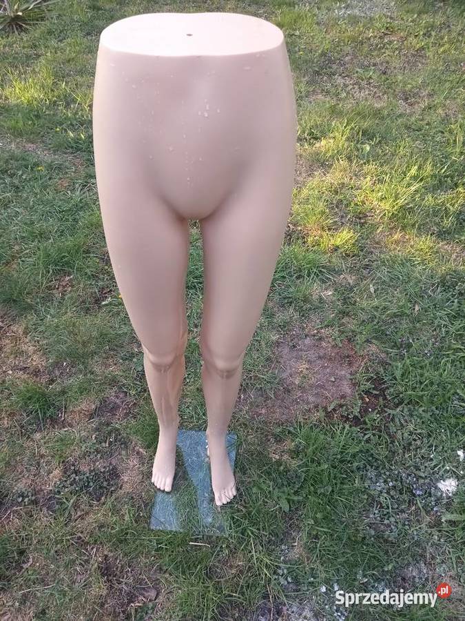 ekspozytor damski kujawsko-pomorskie Inowrocław sprzedam