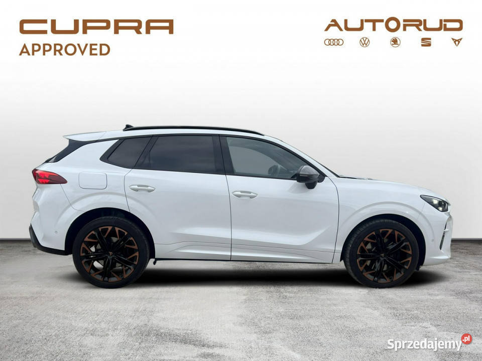 Cupra Terramar VZ 20TSI 265 DSG 4X4 2025 światła przeciwmgielne Terramar świętokrzyskie Kielce